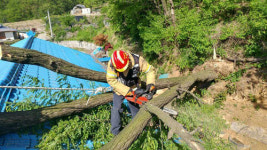 찢기고 뽑히고…강풍에 휩쓸린 영주·봉화