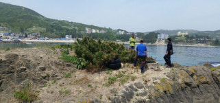 “16년째 씨 뿌리고 거름 준 소나무로 고향 情 키웁니다”