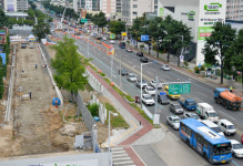 중앙대로 히말라야시더 18그루 결국 싹둑