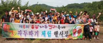 의성 眞 자두의 새콤달콤한 유혹…의성군 16일 봉양자두체험행사