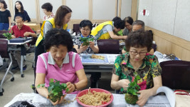 [이런일] 대구농기센터 힐링 원예체험교육