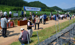 [이런일] 경북농업기술원 고추품종 평가회