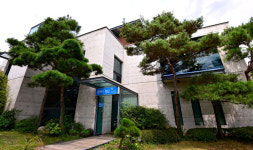 청도 유등연지 연꽃에 반해 걷다가 발견한 갤러리 청담