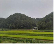 [대구경북 관심 물건] 군위군 산성면 화본리 임야/경주시 용강동 아파트