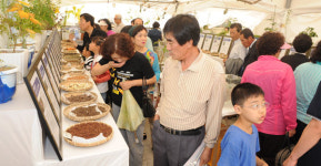축제 풍년, 가을 영천…다음 달 3일까지 금호강 강변공원 일원