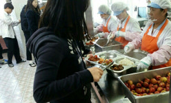 [이런일] 영천 농업창조영농조합 미니사과 무상지원