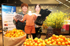 삼다도 제주 상품전