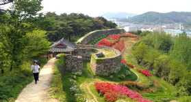 [배우면서 즐기는 답사여행] 고인돌·동백꽃의 고장 전북 고창