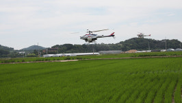 [이런일] 무인헬기 병해충 119방제단 작업