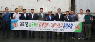 청도군, 감 말랭이·아이스 홍시 선적