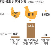 경북도 모든 산란계 농장 계란 출하정지
