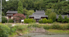 [영천에 노계문학공원 들어선다] 박인로 선생 누항사 읊으며 도계서원 황톳길 힐링 한 바퀴