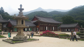[배우면서 즐기는 답사여행] 전남 구례
