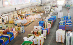 농수산물도매시장 시설현대화, 대책 없는 대구시