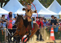 [세계 유일 예천세계활축제] 활 쏘고 맞히며 가족·연인 간 사랑이 활활