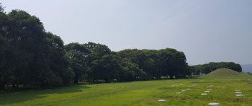 [그곳, 내 마음의 안식처] <17> 소설가 김연수-경주 계림