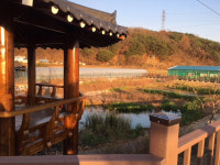 예천온천 입구 인공습지 환경개선·볼거리 제공 두 가지 효과