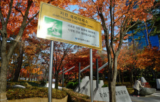 지진 나면 이곳으로