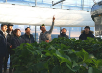 포항에 전국 첫 스마트팜…해맞이 농장 ICT 빅데이터 구축