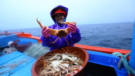 [채널]대게보다 행복을 잡았다는 부부의 인생 이야기