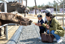 [흥] 즐거운 레포츠로 가득한 영천