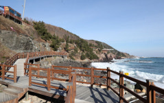 포항 북구권에도 해안둘레길…송도 송림숲∼화진 36.5km 연결