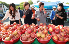 우수 농특산물 직거래 장터