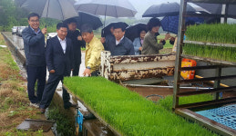 구미, 올해 첫 모내기