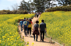 [新 팔도유람, 한국지방신문협회 공동기획] 사계절 가족여행 제격 전북 부안 마실길