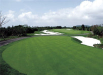 [추천! 금주의 골프장] 제주 세인트포CC, 사계절 골프 가능