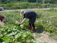 리틀 포레스트 도시농부, 꿈만 꾸지 마시고 실현하세요