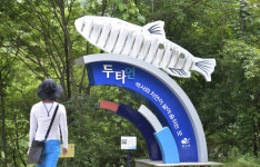 쉽게 닿을 수 없는 생태계의 보고를 엿보다, 두타연과 곰배령