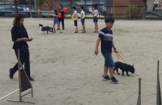 특수분장사, 인명 구조견 지도사…대구 화동초 이색 직업 진로 멘토링 체험