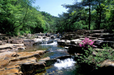 [신팔도유람] 충북지역 계곡에서 신선이나 돼 볼까