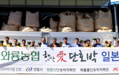 안동 와룡 단호박 햇살애, 2일 일본 수출길 올라 