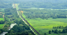 [DMZ평화시대가 열린다] 비무장지대와 민간인통제구역의 자연환경(5)