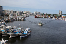 [화보] 22일 태풍 솔릭 대비 전국 상황은? 제주도·해운대 초강풍