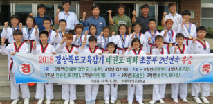 성주중앙초 경북교육감기 태권도대회 2년 연속 종합우승