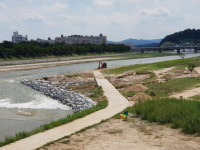 안전 재난 시스템 또 구멍. 영주시, 비 피해 파악도 못해