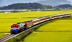 [포토산책] 고향 기차