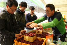 2018 경산 대추축제 대동한마당＆경산예술제