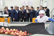 청송사과유통센터 준공