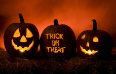 [잠깐상식] 할로윈에 배우는 영어 문구, trick or treat 뜻은?