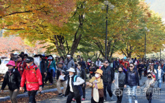 2018 함께 걷는 경주 왕의 길 여섯 번째 행사 1천 500명 참여 성료