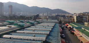 경산공설시장 시설현대화사업 막구조물 재질 놓고 논란