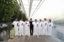 상주 새봄 토마토유리온실 스마트팜 롤모델로 주목