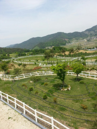한국마사고등학교, 장수 승마체험장 어디? 전국노래자랑 전북 장수군 편 등장