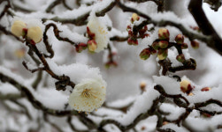 [신팔도유람]충남 태안반도 천리포수목원   