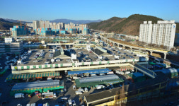 대구농수산물 도매시장 거래금액 1조원 눈앞에