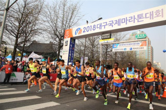 대구국제마라톤대회와 청송 아이스 클라이밍 월드컵, 국비 지원받는다.